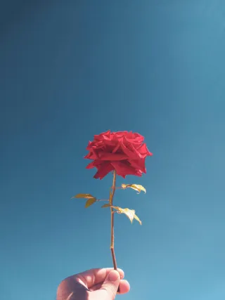 عکس از آرهاهو اناس