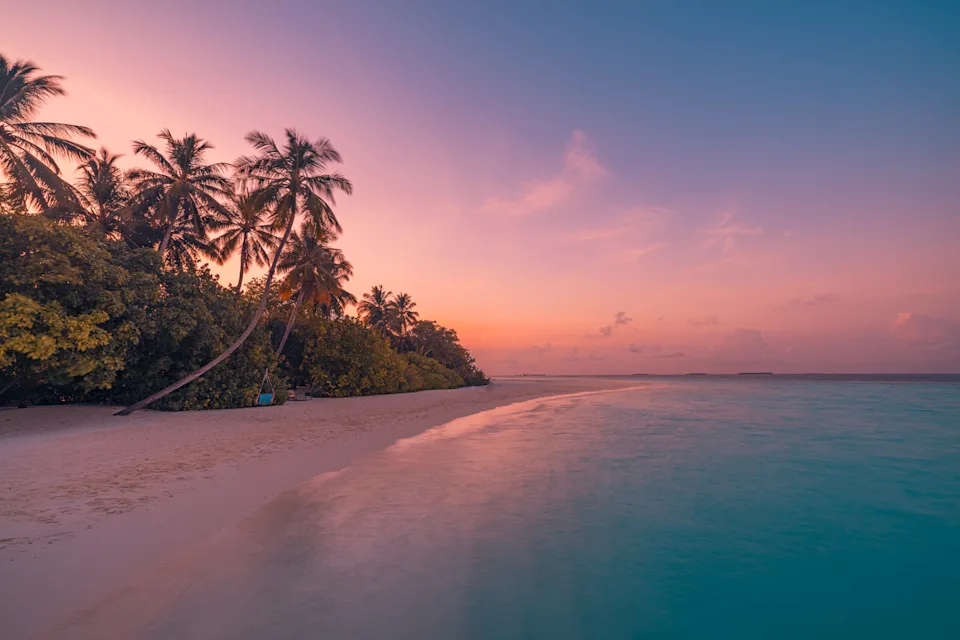Serene beach scene with palm trees lining a sandy shore at sunset, calm waves lapping onto the beach