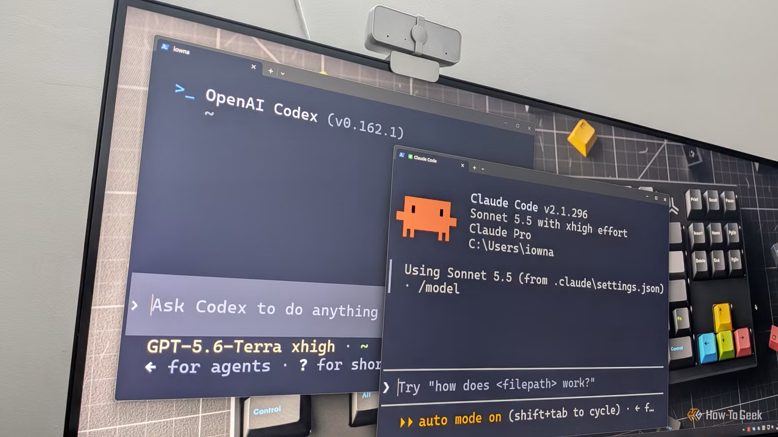 OpenAI Codex and Claude Code terminals open side by side on an ultrawide monitor with GPT-5.6-Terra and Sonnet 5.5 at xhigh effort.