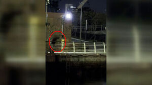 "Bukang Is Here, What Are They Doing?"... Suspicious Man Appears at Dawn