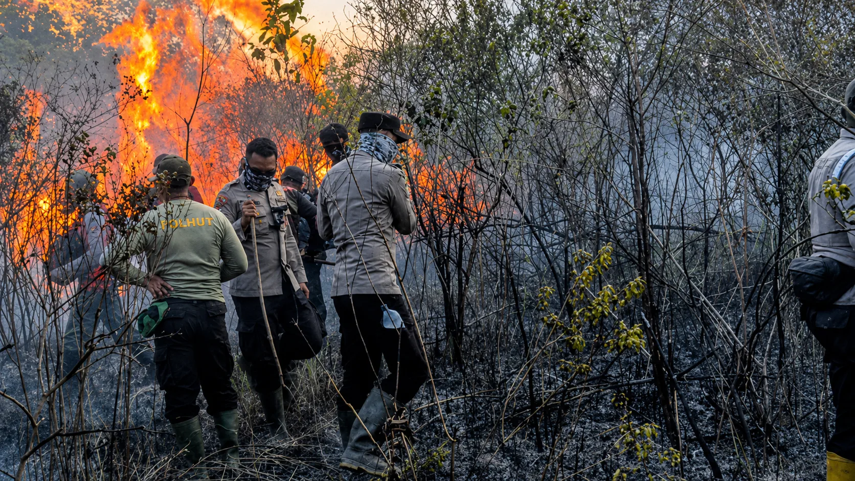 Way Kambas fire