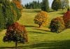 Autumn Fall October (Image Credit: Couleur from Pixabay)