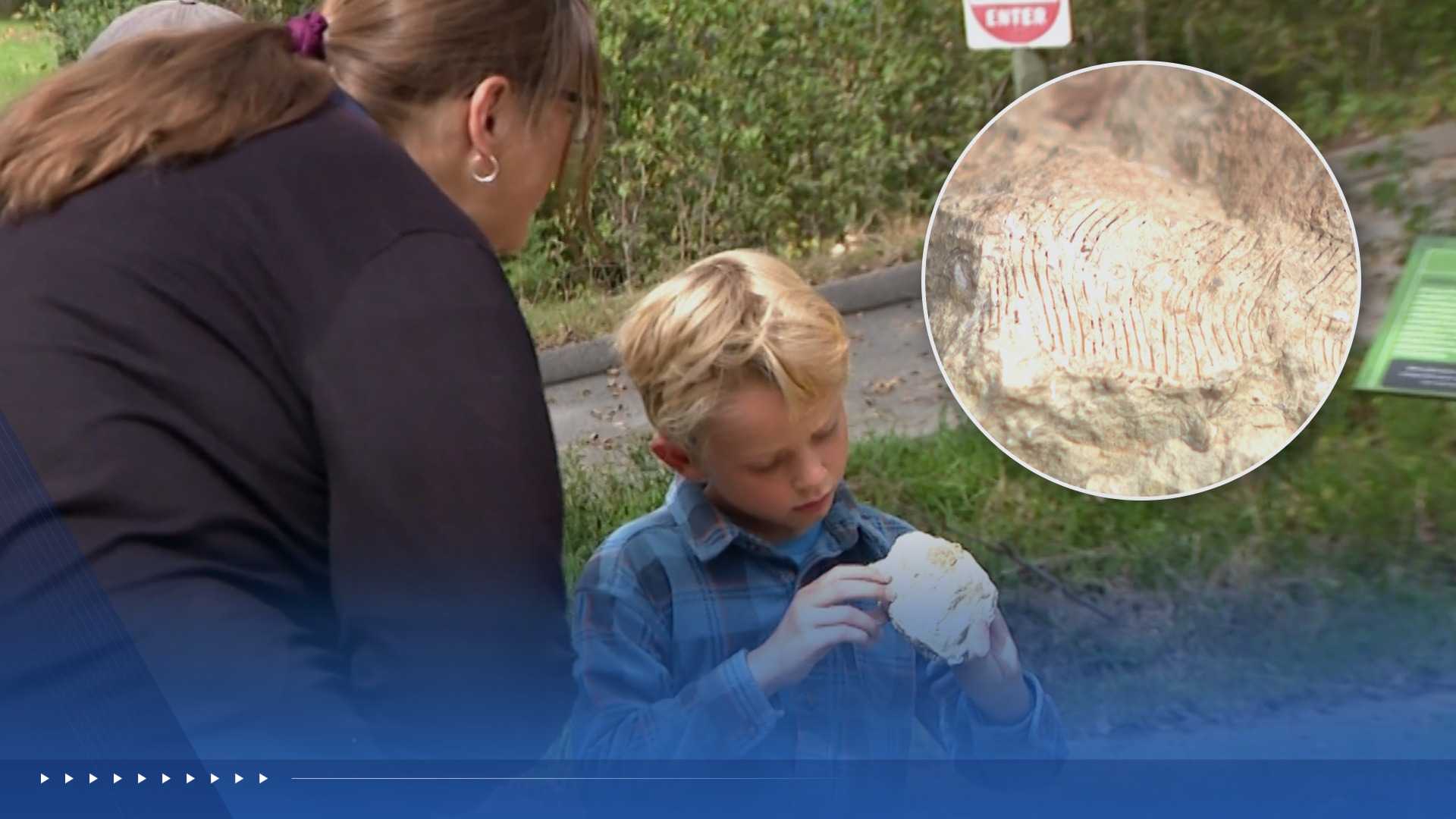 6-year-old fossil hunter makes rare discovery in Nebraska