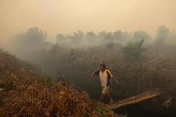 The report identified plantation concessions associated with the three companies where fires and smoke were detected between August and September.