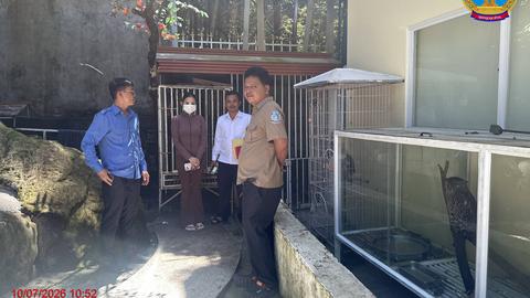 Preah Sihanouk authorities inspect a café in Sihanoukville where wildlife, including birds and other animals, were allegedly kept in cramped cages and restrained with chains. Kiripost/Supplied