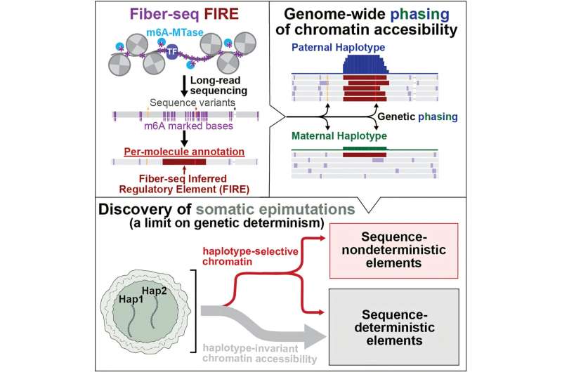 Machine learning analysis of gene regulation reveals new dimension of biological variability