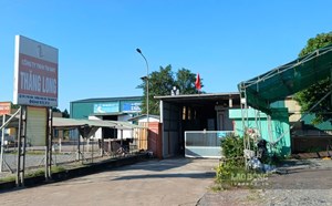 157 workers have new jobs after salary debt at Thang Long Garment Company