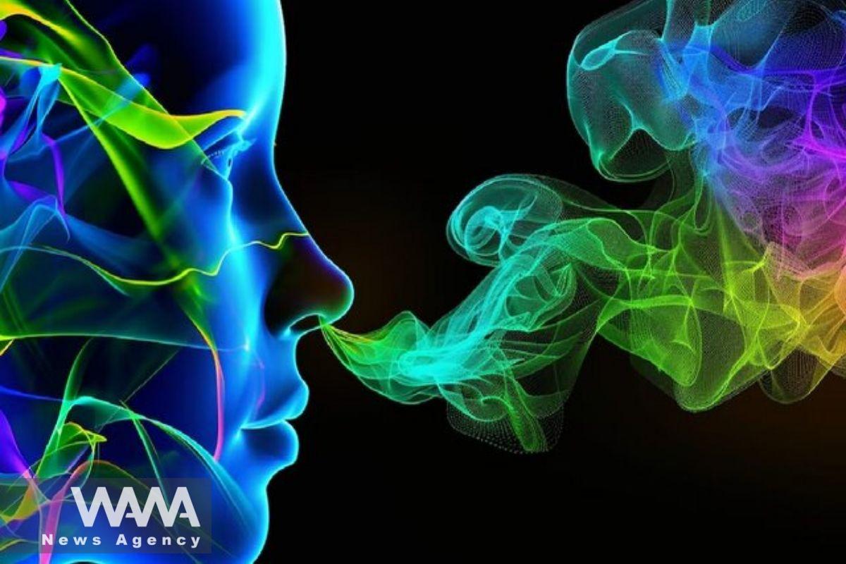 Artificial Olfaction Project Launched in Iran for Explosives and Drugs