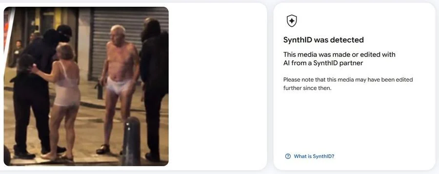 نتیجه بررسی تصویر با ابزار تشخیص نشانگر SynthID