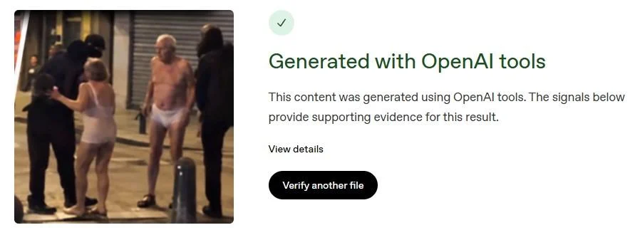 نتیجه بررسی تصویر با ابزار Verify شرکت OpenAI